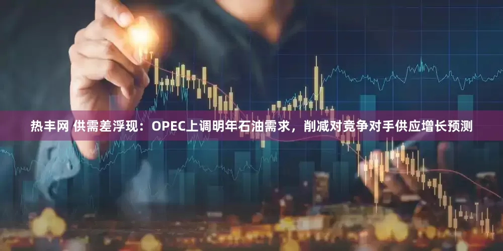 热丰网 供需差浮现：OPEC上调明年石油需求，削减对竞争对手供应增长预测