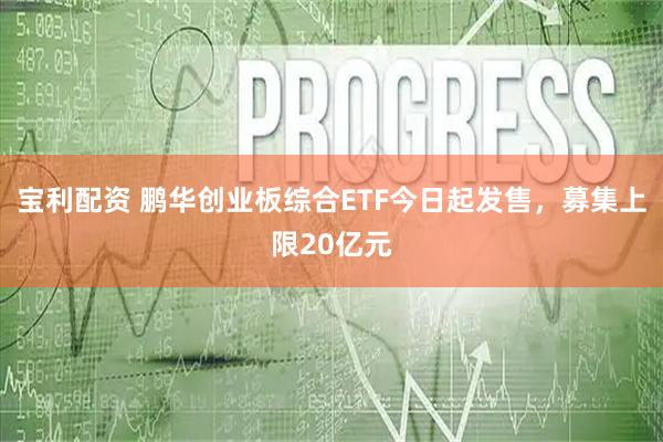 宝利配资 鹏华创业板综合ETF今日起发售，募集上限20亿元