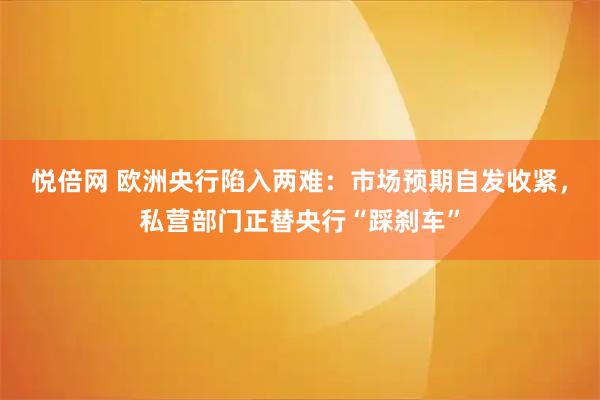 悦倍网 欧洲央行陷入两难：市场预期自发收紧，私营部门正替央行“踩刹车”